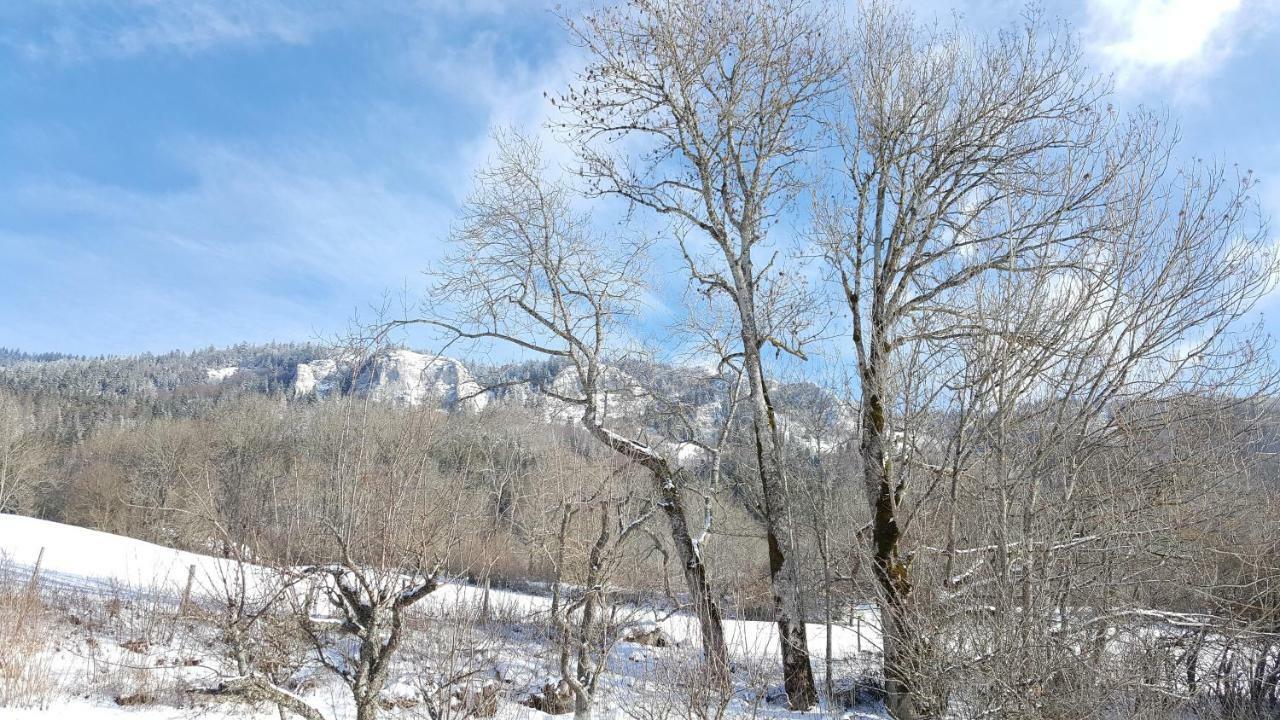 Maison D'Hotes Agathe Et Sophie Lans-en-Vercors Exterior photo